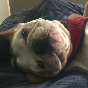 Meet your Posher, Ethan